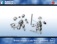 284119 British Infantry(Late) Commander- Resin